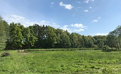 107_iP_210530_IMG_2406