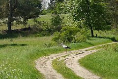 125_p20_IMG_20210530_101847