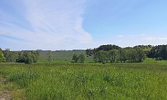 141_p20_IMG_20210530_102522