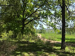 143_iP_210530_IMG_2427