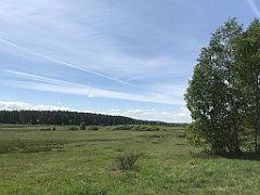 189_iP_210530_IMG_2453