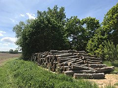 246_iP_210530_IMG_2465