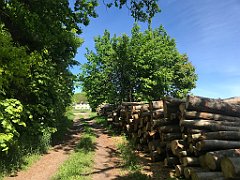 251_iP_210530_IMG_2471