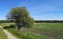 346_p20_IMG_20210530_142212