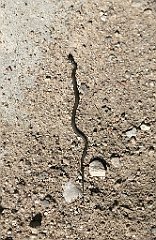 384_iP_210530_IMG_2499