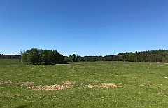 391_iP_210530_IMG_2501