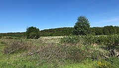 403_iP_210530_IMG_2507