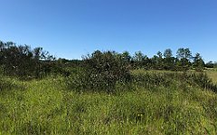 412_iP_210530_IMG_2510