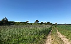 457_iP_210530_IMG_2542