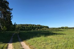 490_iP_210530_IMG_2555