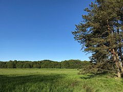 496_iP_210530_IMG_2557