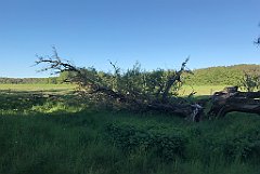 504_iP_210530_IMG_2558