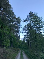 514_iP_210530_IMG_2569