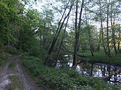 515_iP_210530_IMG_2571