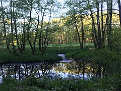 517_iP_210530_IMG_2575