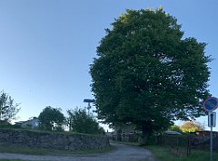 527_iP_210530_IMG_2594