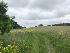 035_iP_210615_IMG_2608