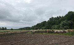 083_iP_210615_IMG_2634