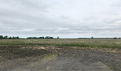 085_iP_210615_IMG_2635