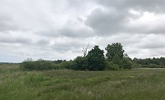 125_iP_210615_IMG_2657