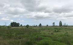 126_iP_210615_IMG_2658