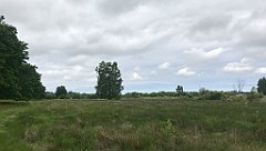 127_iP_210615_IMG_2659