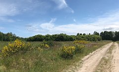 159_iP_210615_IMG_2684