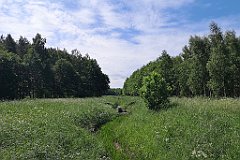 203_p20_IMG_20210615_120723