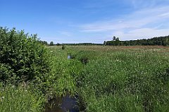 206_p20_IMG_20210615_120734