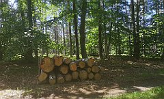 222_p20_IMG_20210615_122807