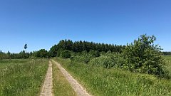 284_iP_210615_IMG_2713