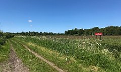 345_iP_210615_IMG_2741