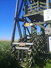 422_p20_IMG_20210615_155551