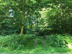 496_iP_210615_IMG_2765