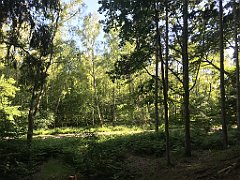 498_iP_210615_IMG_2769