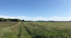 499_iP_210615_IMG_2771