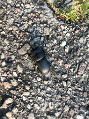 549_iP_210615_IMG_2788