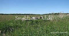 2021_06_15_Smoldzino_Kluki
