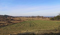 038_p20_IMG_20220213_095826