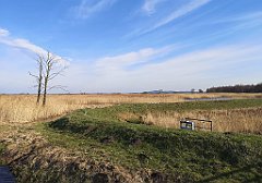 211_p20_IMG_20220213_114924