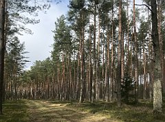 175_iP_220226_IMG_4051