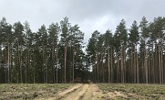 184_iP_220226_IMG_4053