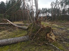 219_p20_IMG_20220226_121814