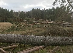 221_iP_220226_IMG_4065