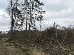 226_iP_220226_IMG_4071