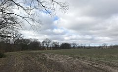 248_iP_220226_IMG_4074