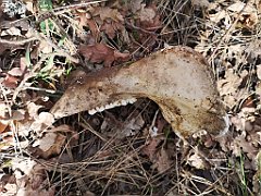 266_p20_IMG_20220226_124500