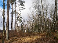 325_p20_IMG_20220226_135707