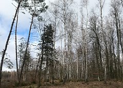 328_iP_220226_IMG_4091