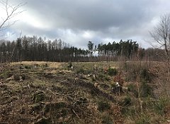 330_iP_220226_IMG_4093